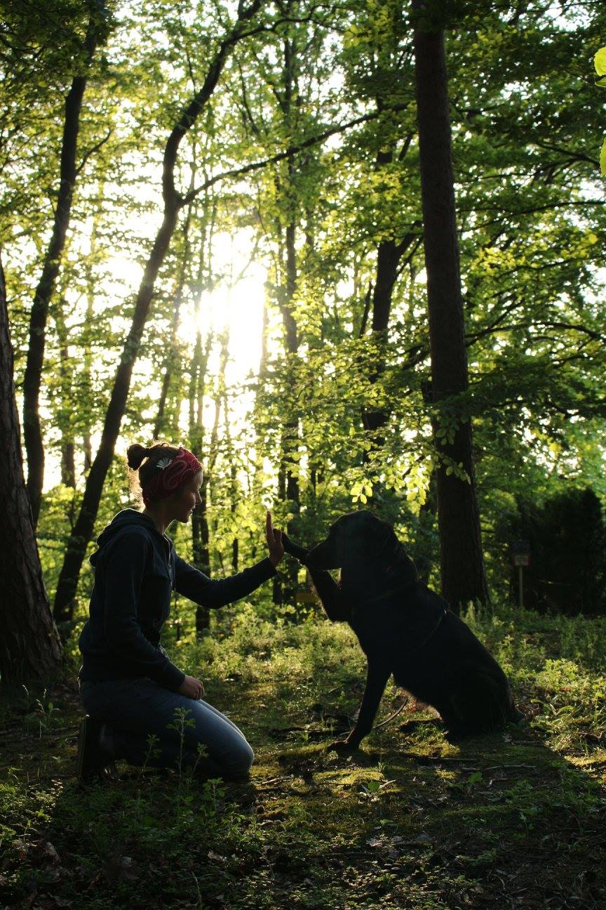 waldbaden mit hund: frau mit hund im wald