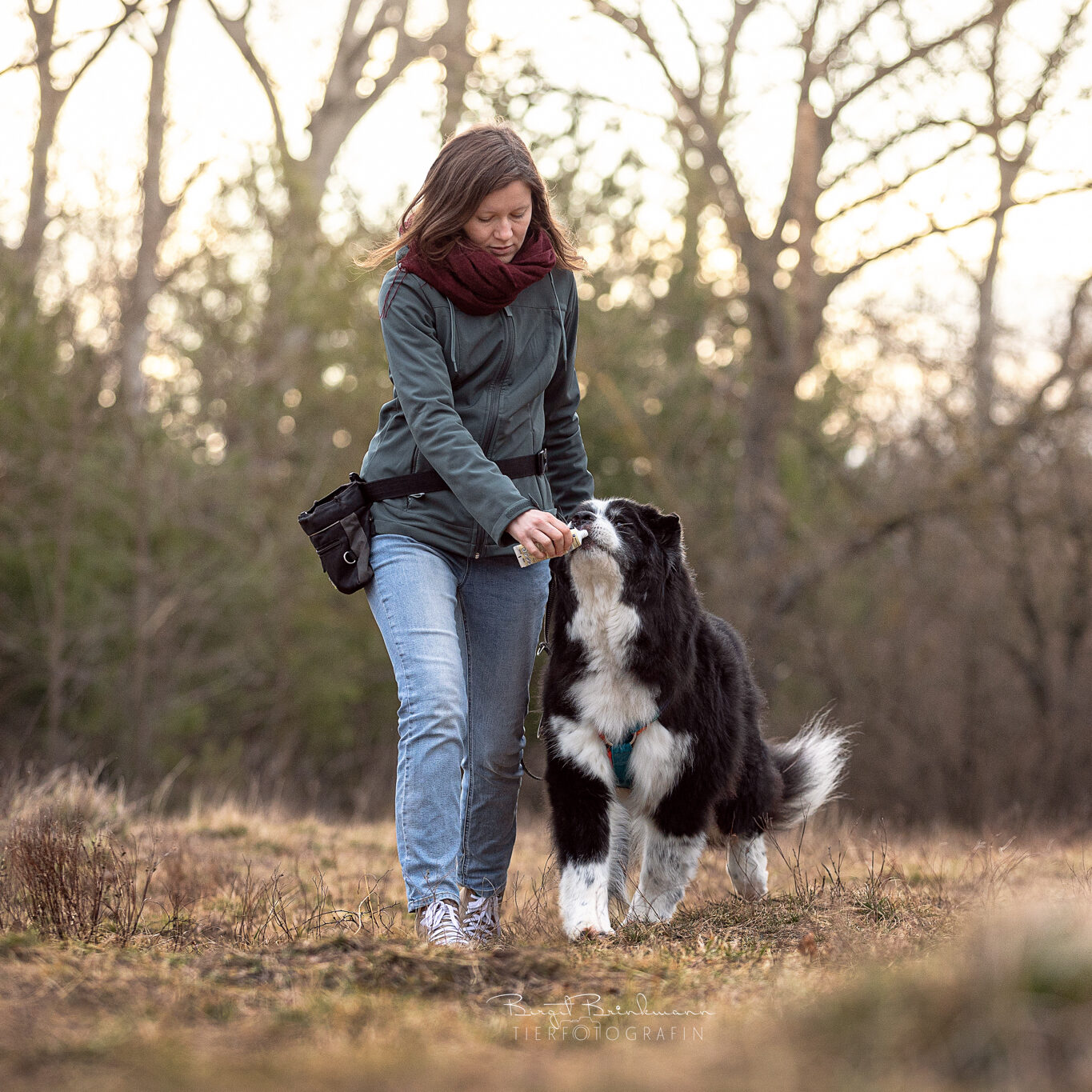 Kristina Anderle trainiert Hund und gibt ihm ein leckerli