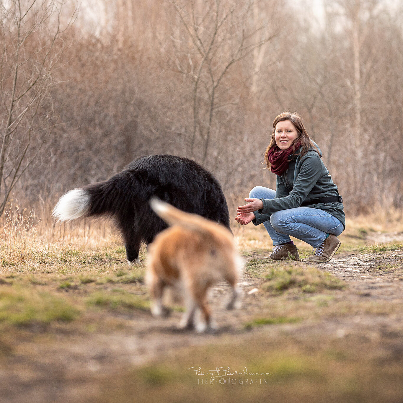 Kristina Anderle mit Hunden
