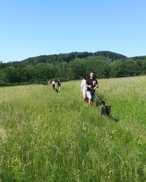Kristina Anderle zusammen mit anderen und Hunden beim Social Walk